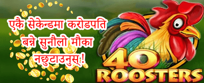 निःशुल्क स्पिन धमाका 🎰